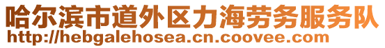 哈爾濱市道外區(qū)力海勞務(wù)服務(wù)隊(duì)