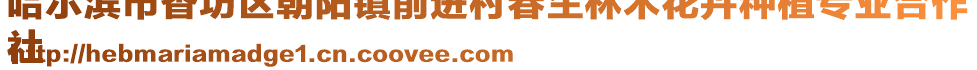 哈爾濱市香坊區(qū)朝陽(yáng)鎮(zhèn)前進(jìn)村春生林木花卉種植專業(yè)合作
社