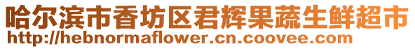 哈爾濱市香坊區(qū)君輝果蔬生鮮超市