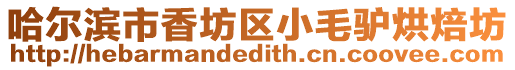 哈爾濱市香坊區小毛驢烘焙坊
