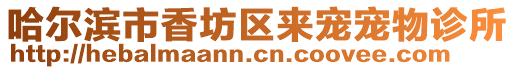 哈爾濱市香坊區來寵寵物診所