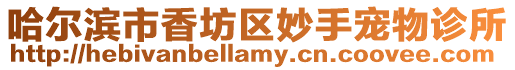 哈爾濱市香坊區妙手寵物診所