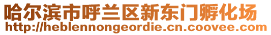 哈爾濱市呼蘭區(qū)新東門孵化場