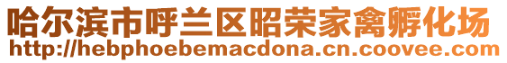 哈爾濱市呼蘭區(qū)昭榮家禽孵化場(chǎng)