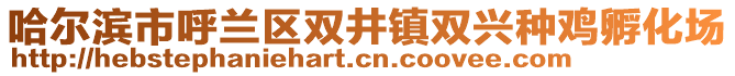 哈爾濱市呼蘭區(qū)雙井鎮(zhèn)雙興種雞孵化場