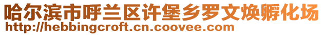 哈爾濱市呼蘭區(qū)許堡鄉(xiāng)羅文煥孵化場