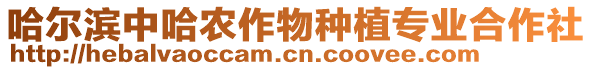 哈爾濱中哈農(nóng)作物種植專業(yè)合作社