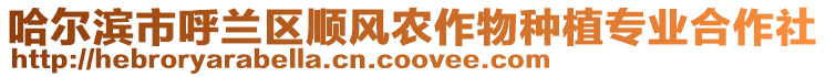 哈爾濱市呼蘭區(qū)順風(fēng)農(nóng)作物種植專業(yè)合作社