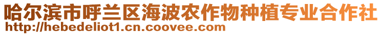 哈爾濱市呼蘭區(qū)海波農(nóng)作物種植專業(yè)合作社