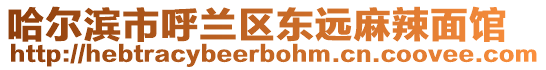 哈爾濱市呼蘭區(qū)東遠(yuǎn)麻辣面館