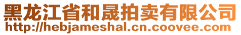 黑龍江省和晟拍賣有限公司