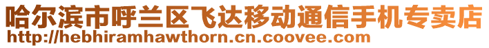 哈爾濱市呼蘭區(qū)飛達(dá)移動通信手機(jī)專賣店