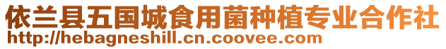 依蘭縣五國(guó)城食用菌種植專業(yè)合作社