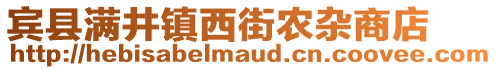 宾县满井镇西街农杂商店