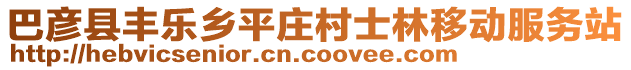 巴彦县丰乐乡平庄村士林移动服务站