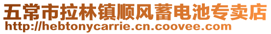 五常市拉林鎮(zhèn)順風蓄電池專賣店