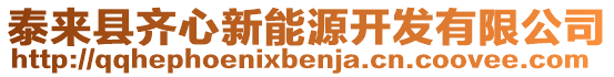 泰來縣齊心新能源開發(fā)有限公司