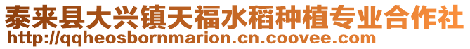 泰来县大兴镇天福水稻种植专业合作社