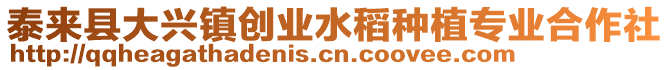 泰来县大兴镇创业水稻种植专业合作社