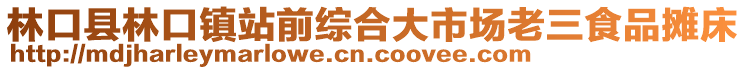 林口縣林口鎮(zhèn)站前綜合大市場老三食品攤床