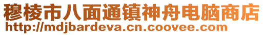 穆棱市八面通镇神舟电脑商店