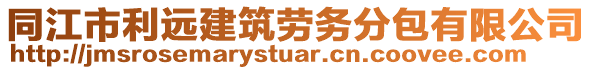 同江市利遠(yuǎn)建筑勞務(wù)分包有限公司