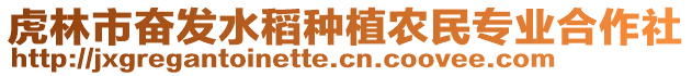 虎林市奋发水稻种植农民专业合作社