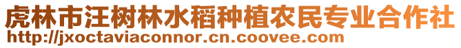 虎林市汪樹林水稻種植農(nóng)民專業(yè)合作社