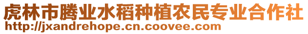 虎林市腾业水稻种植农民专业合作社