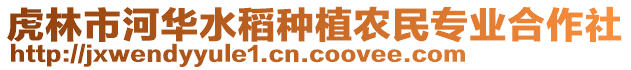 虎林市河華水稻種植農(nóng)民專業(yè)合作社