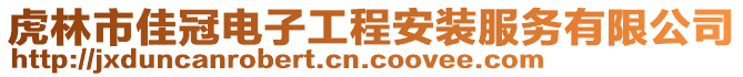 虎林市佳冠電子工程安裝服務(wù)有限公司