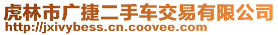 虎林市廣捷二手車交易有限公司