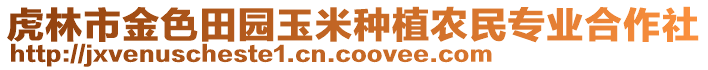 虎林市金色田園玉米種植農(nóng)民專業(yè)合作社