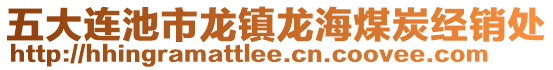 五大連池市龍鎮(zhèn)龍海煤炭經(jīng)銷處