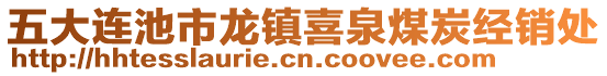 五大連池市龍鎮(zhèn)喜泉煤炭經(jīng)銷處