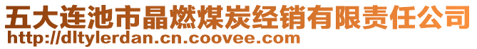 五大連池市晶燃煤炭經(jīng)銷(xiāo)有限責(zé)任公司