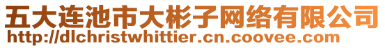 五大連池市大彬子網(wǎng)絡(luò)有限公司