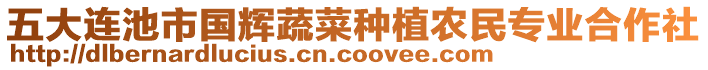 五大連池市國(guó)輝蔬菜種植農(nóng)民專(zhuān)業(yè)合作社