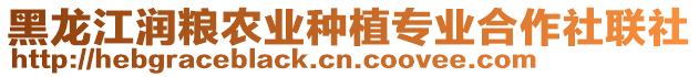 黑龍江潤(rùn)糧農(nóng)業(yè)種植專業(yè)合作社聯(lián)社