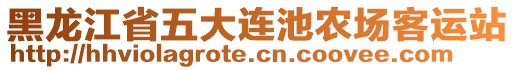 黑龍江省五大連池農(nóng)場(chǎng)客運(yùn)站