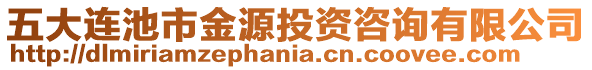 五大连池市金源投资咨询有限公司