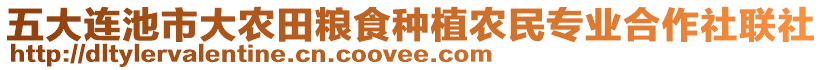 五大連池市大農(nóng)田糧食種植農(nóng)民專業(yè)合作社聯(lián)社