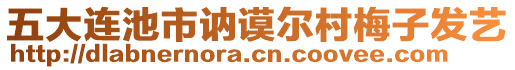 五大連池市訥謨爾村梅子發(fā)藝