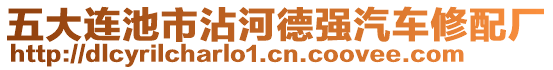 五大連池市沾河德強(qiáng)汽車修配廠