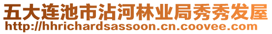 五大連池市沾河林業(yè)局秀秀發(fā)屋