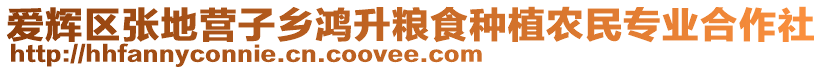 愛(ài)輝區(qū)張地營(yíng)子鄉(xiāng)鴻升糧食種植農(nóng)民專(zhuān)業(yè)合作社