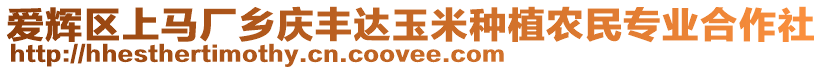 愛(ài)輝區(qū)上馬廠鄉(xiāng)慶豐達(dá)玉米種植農(nóng)民專(zhuān)業(yè)合作社