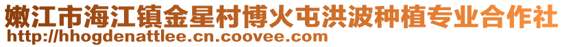 嫩江市海江镇金星村博火屯洪波种植专业合作社