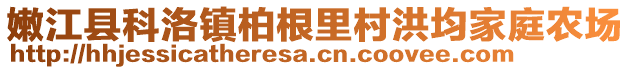 嫩江縣科洛鎮(zhèn)柏根里村洪均家庭農(nóng)場