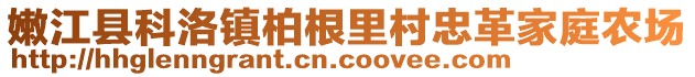 嫩江縣科洛鎮(zhèn)柏根里村忠革家庭農(nóng)場(chǎng)